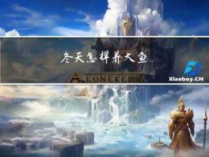 冬天怎样养大鱼