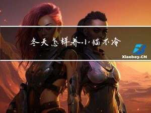冬天怎样养小猫不冷