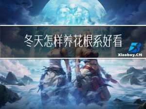 冬天怎样养花根系好看