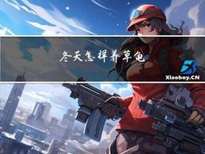 冬天怎样养草龟