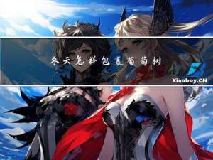 冬天怎样包裹葡萄树