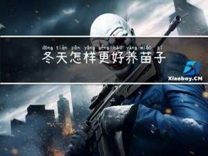 冬天怎样更好养苗子