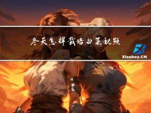 冬天怎样栽培白菜视频