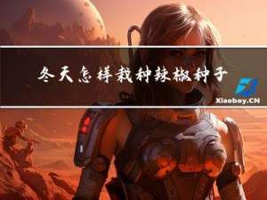 冬天怎样栽种辣椒种子