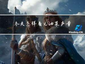 冬天怎样看见油菜产量