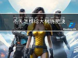 冬天怎样给大树施肥浇水