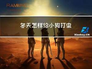 冬天怎样给小狗打虫