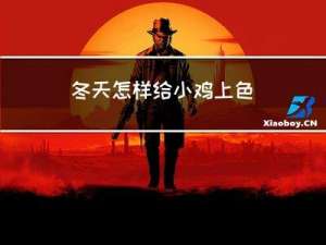 冬天怎样给小鸡上色
