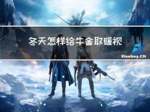 冬天怎样给牛舍取暖视频
