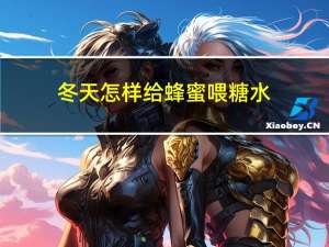 冬天怎样给蜂蜜喂糖水