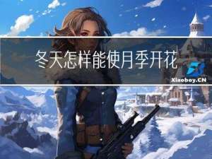 冬天怎样能使月季开花快