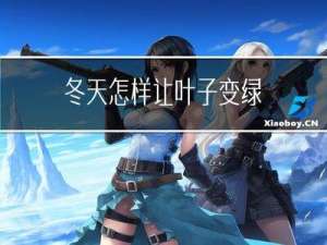 冬天怎样让叶子变绿