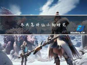 冬天怎样让小狗睡觉