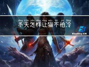 冬天怎样让猫不怕冷