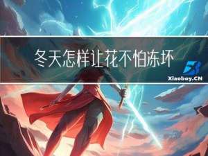 冬天怎样让花不怕冻坏
