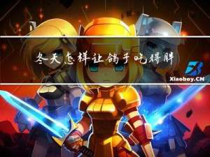 冬天怎样让鸽子吃得胖