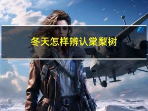 冬天怎样辨认棠梨树