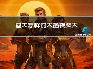 冬天怎样钓大鱼视频大全