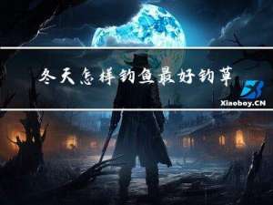 冬天怎样钓鱼最好钓草鱼