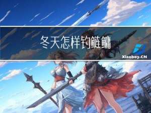 冬天怎样钓鲢鳙