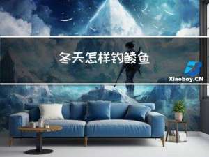 冬天怎样钓鲮鱼