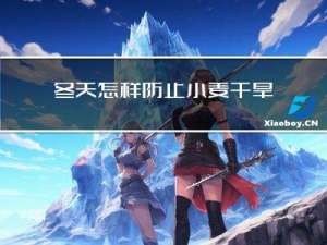 冬天怎样防止小麦干旱发芽