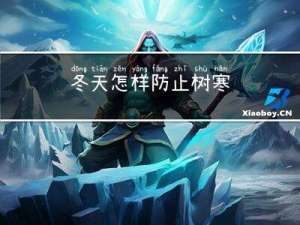 冬天怎样防止树寒