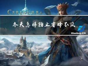 冬天怎样防止蜜蜂不筑巢