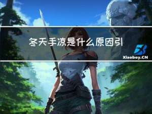 冬天手凉是什么原因引起的