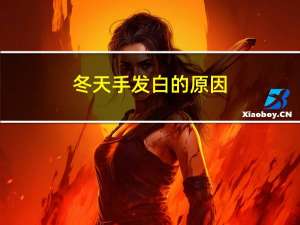 冬天手发白的原因