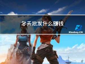 冬天批发什么赚钱