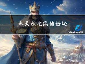冬天抓仓鼠的好处