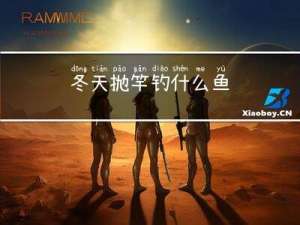 冬天抛竿钓什么鱼