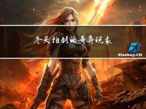 冬天拍到的奇异现象