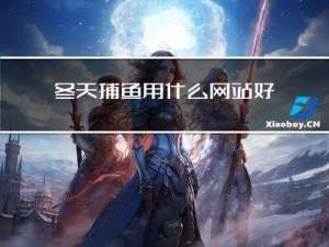 冬天捕鱼用什么网站好