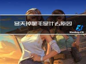冬天掉腿毛是什么原因
