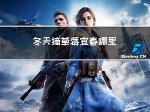 冬天摘草莓宜春哪里