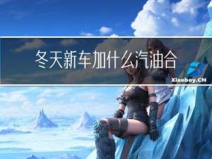 冬天新车加什么汽油合适