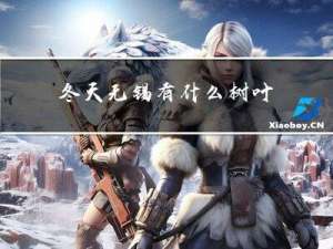 冬天无锡有什么树叶