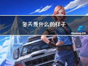 冬天是什么的样子