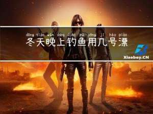 冬天晚上钓鱼用几号漂好
