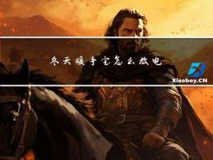 冬天暖手宝怎么放电