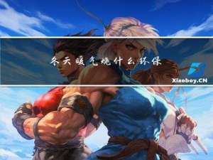 冬天暖气烧什么环保
