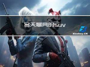 冬天最亮的suv