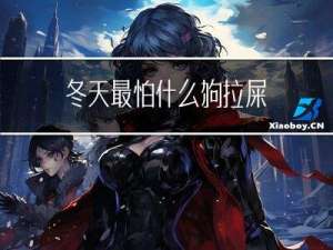 冬天最怕什么狗拉屎