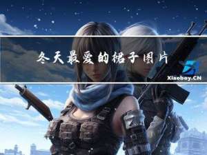 冬天最爱的裙子图片