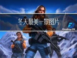 冬天最美一景图片