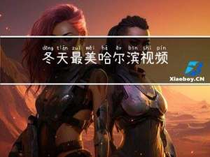 冬天最美哈尔滨视频