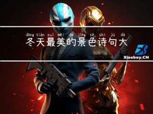 冬天最美的景色诗句大全
