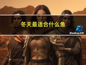 冬天最适合什么鱼